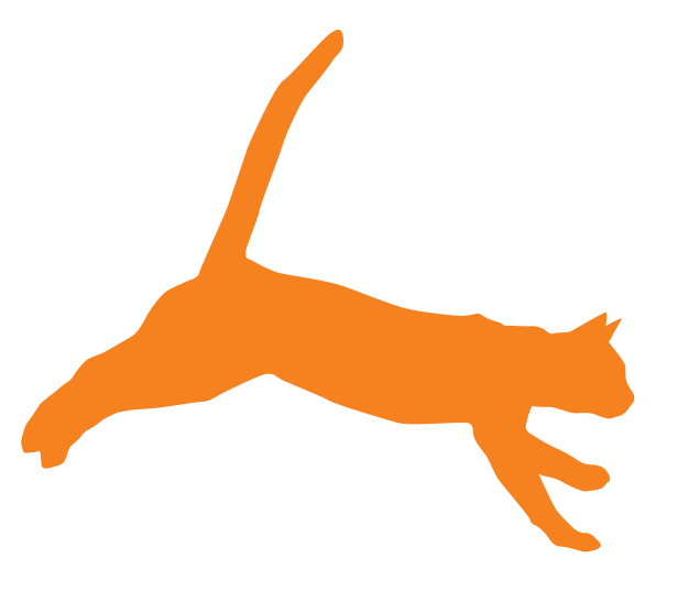 Cat jumping illustration