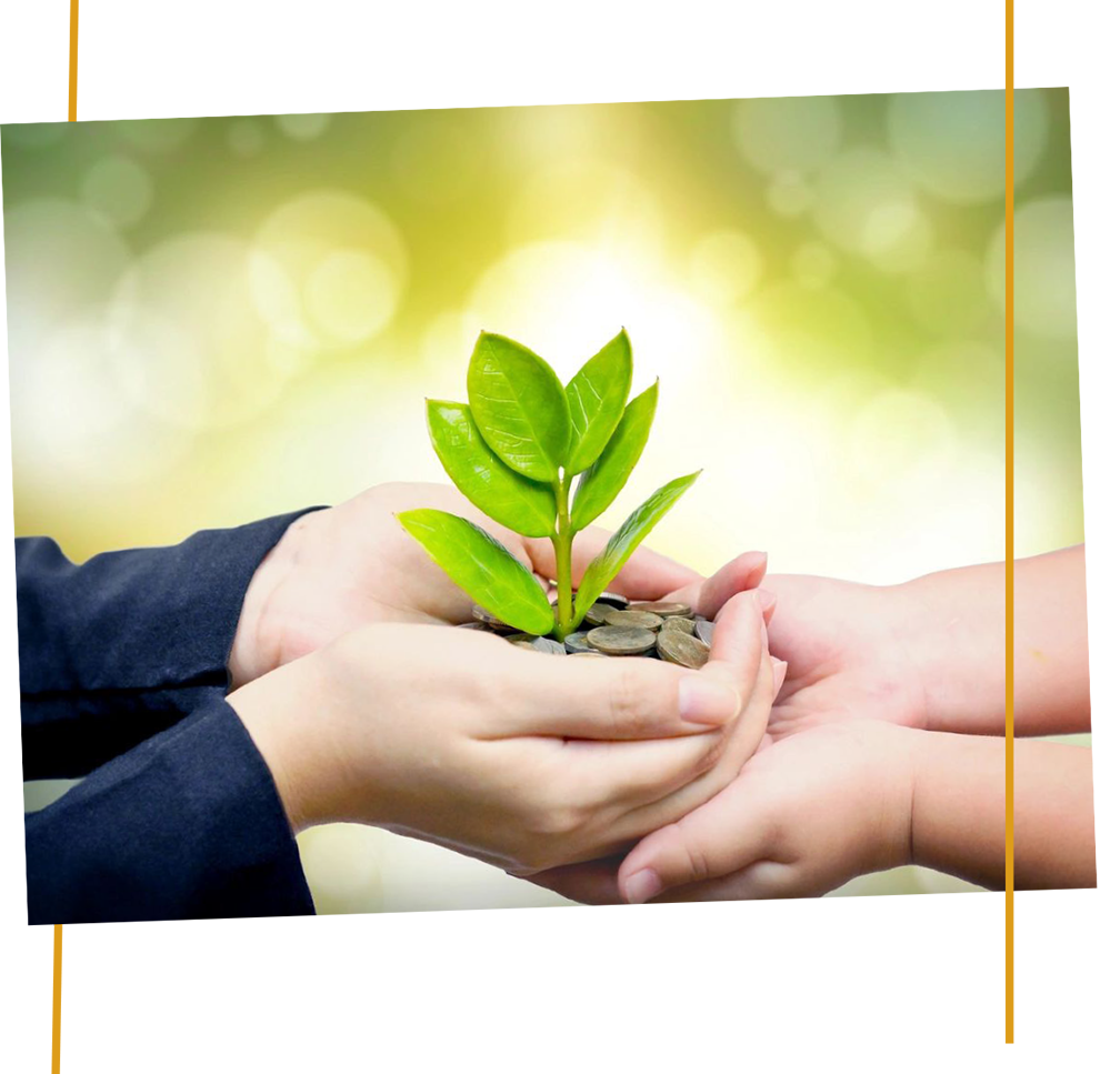 Hands holding seedling for Nonprofit Grants in New Mexico